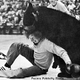 Image for article titled This is history's greatest photo of a bear beating up a man